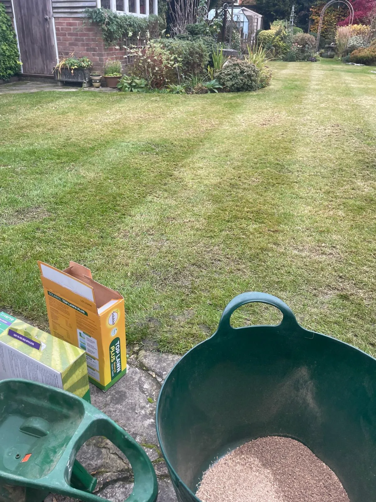 A yard with a lawn mower and a lawn mower.
